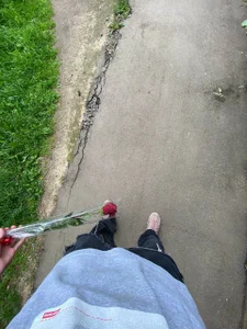 fameboybooPublic图片 5