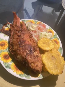 lou_cute Bon appetit Bilde 5