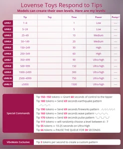 LewdFoxy_VT 🎤 My Toys Foto 8