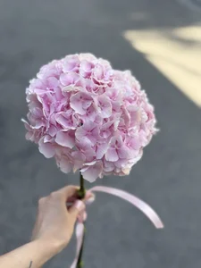 Adell_Love 💅🏻💐☕️ Pic