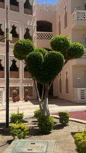 GentleRossi: Egypt🇪🇬 ( фото)