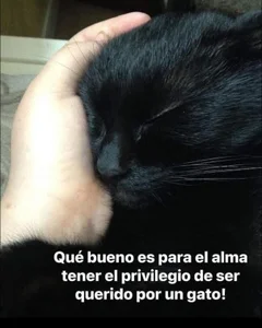 charlloteevans_X Michis  2টি ছবি