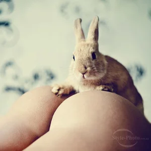 KSU-KSUのPublicの枚の写真