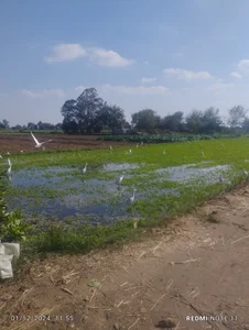 t_g1234tabangasex6: Public ( 3 фото)