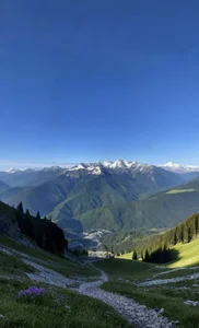 kathrynwilson1 My vibes Pic 3