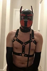 Maskpor2022 kullanıcısının Fotos para ti albümü -  fotoğraf