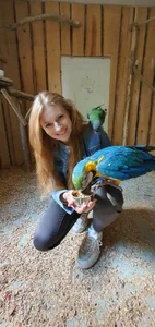 _Carrie_ Public Εικόνα 5