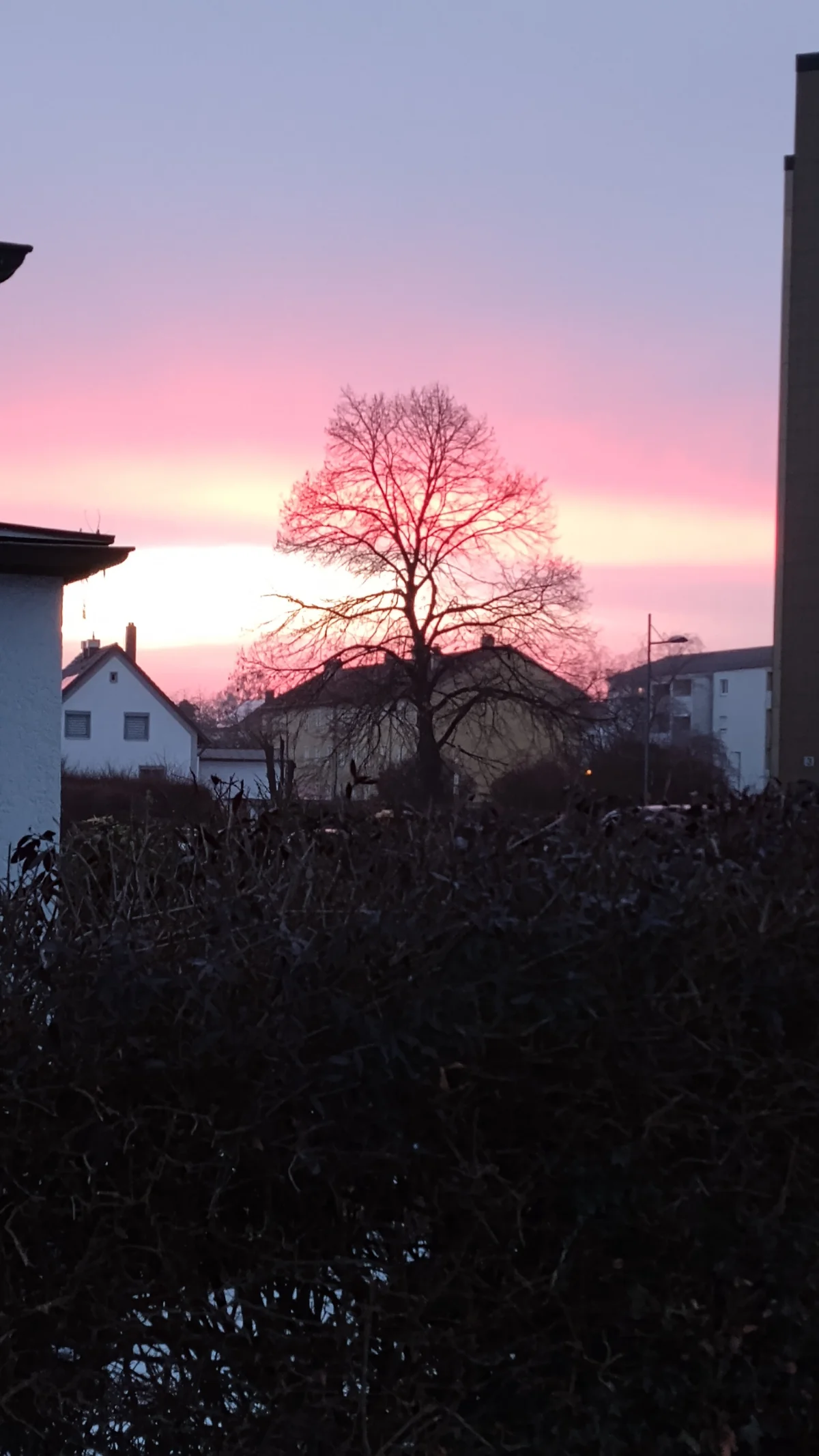 Die-geile-Sau Image populaire  3827