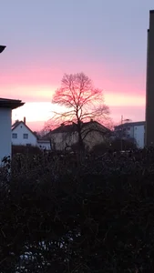 Die-geile-Sau: Public ( фото)