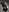 kittlunixx's photo