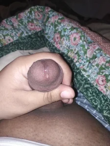 Indbd Public Εικόνα