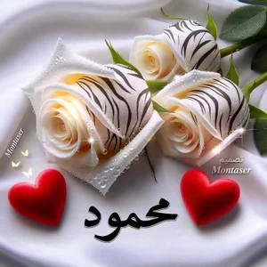 Mahmuodsabry22 Public Foto