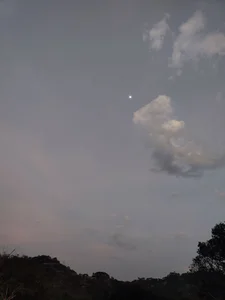 elflacodel25 Public Immagine  3