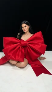 Ali_yv Christmas Poză 3