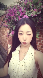 枝枝 de Retro-8090S  4 Imagens