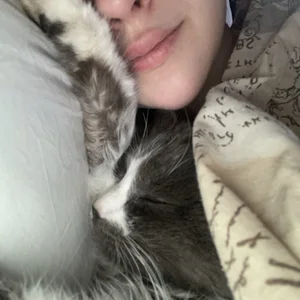 AmourLily My kitty🐈‍⬛ Foto