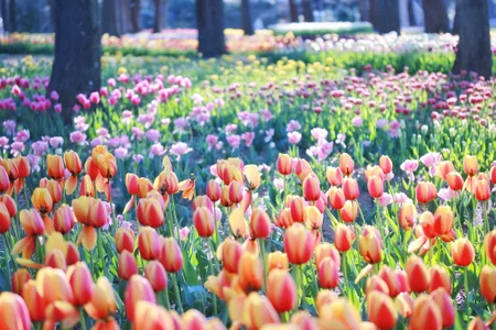 Ranran_s2 kullanıcısının Public albümü -  fotoğraf