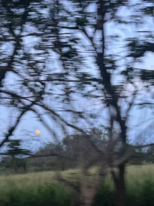 obzidyan Ride/Earth Foto 4