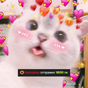 MaryNixon_My KINGS 👑图片 5