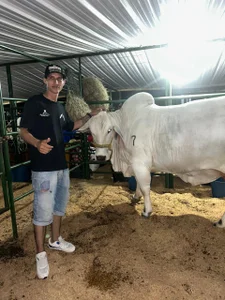 Zdjęcia Abel-09x Public:  8