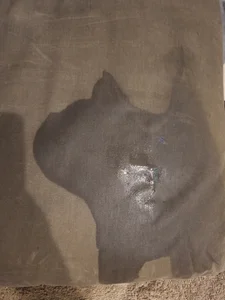 cplcokins34 Squirt de Rorschach  5টি ছবি