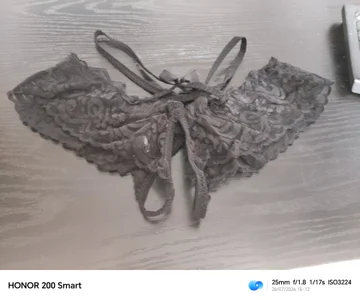 TRESBIENGAULER Lingerie femme slika