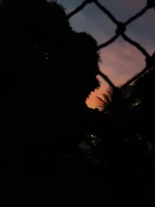 DearArtemis: Public ( 4 фото)