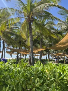 AnitaOwens Vietnam 圖片 7