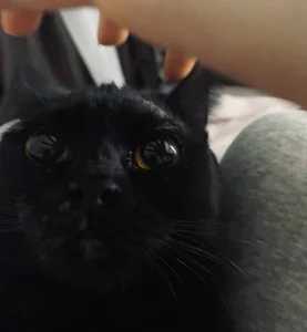 BeckyAurielleのMy friendsの枚の写真