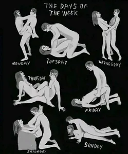 Public de DieMitransarinos  6 Imagens