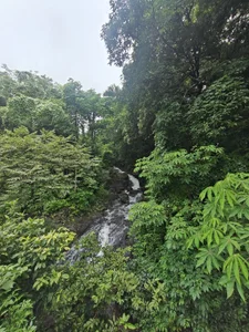 yung_cplzPublic图片 6