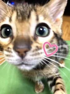 natsumi_NTR_TV Public зображення 3