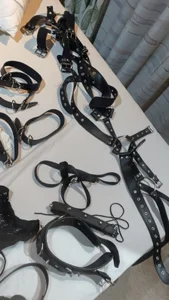 LadyAshley_Domina28 Public Pic 2