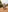 90 Full nude pics