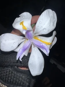 ronald_thompson20 Un poco más de mi. A little more of me Pic 8