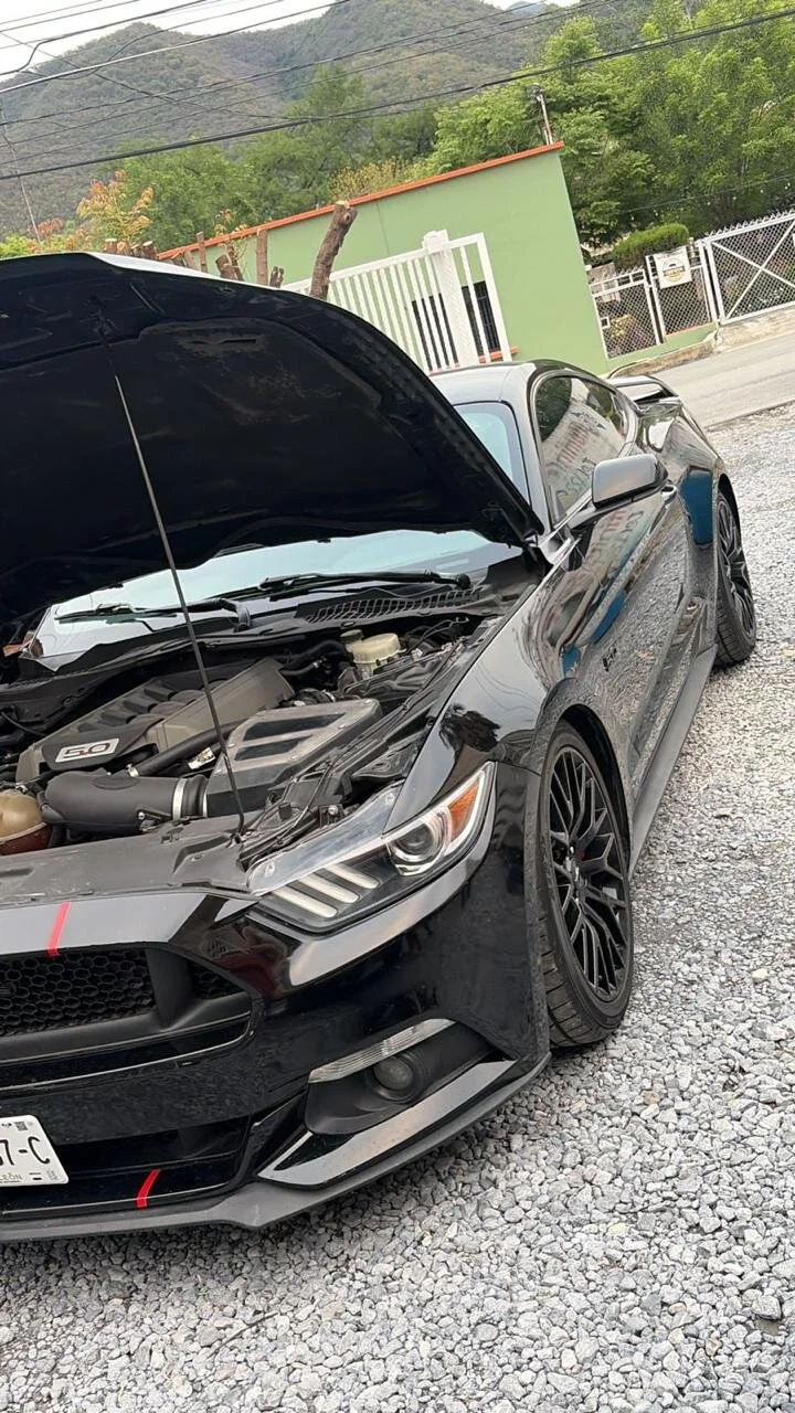 صور HunterHeat_  الرائجة  6148