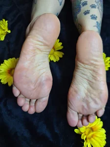 Taraa_Fox feeet Pic 6