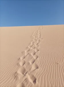 charlize_legs Desert Pic 4