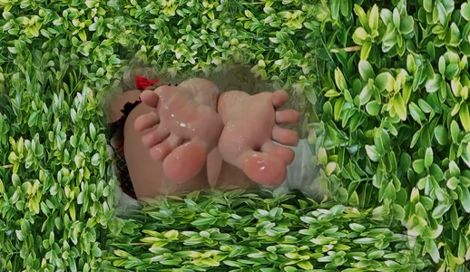 EvaDream Public Foto