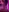 Pink Light photos 2022