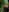 winniess40's photo