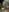 Tiabet's photo