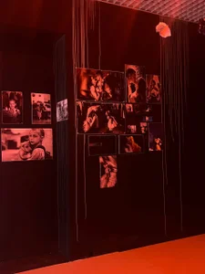 SonjaMonje Gallery Gambar