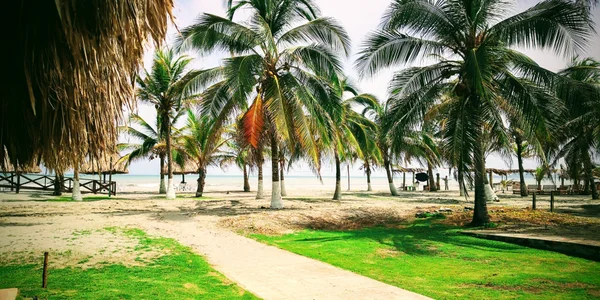 Sharon_07 Landscapes Immagine 