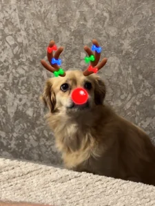 LylaYeessのMy little happiness❤️の 4枚の写真