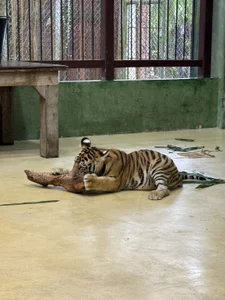 --yunayuna--'s ゆな Sex Photo 3