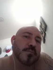 Osobrandon567 Oso Immagine  3