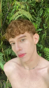 flowers18 In nature Foto