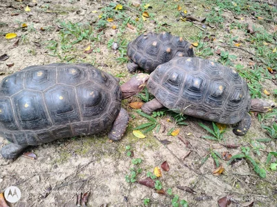 HannahEmmax2 In nature 🥰 Pic 6