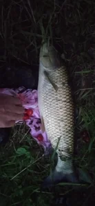 Pavlosss Public Foto 7